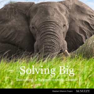 Solving Big is the first of four e-essays on systems-centric leadership